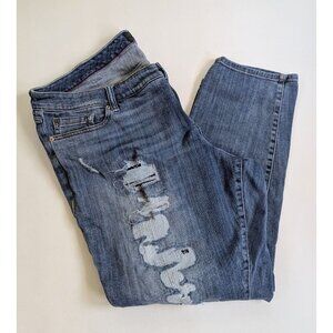 Torrid Boyfriend Premium Stretch Jeans 24R Medium Wash Cropped Distressed